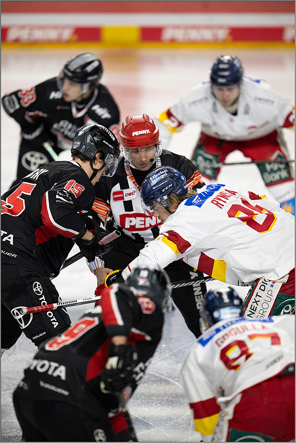 PENNY DEL 1; Kölner Haie - Düsseldorfer EG ; Köln, 16.02.2025